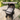 Baby rocker aan kinderwagen bovenaanzicht.