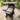 Baby rocker aan kinderwagen bovenaanzicht.